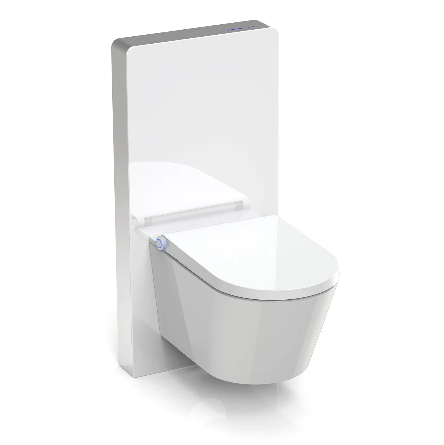 Komplett WC-paket 36: DUSCH-WC Basic 1102